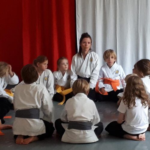 sky banzai martial arts kindertraining kampfkunst akrobatik yoga barmbek süd flick flack take downs calisthenics asana sintony teamwork personal training pa-kua hamburg