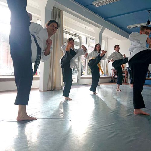 sky banzai martial arts kampfkunst akrobatik yoga barmbek süd flick flack take downs calisthenics asana sintony teamwork personal training pa-kua hamburg