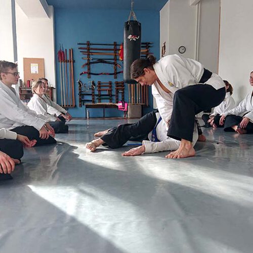 sky banzai kindertraining martial arts kampfkunst akrobatik yoga barmbek süd flick flack take downs calisthenics asana sintony teamwork personal training pa-kua hamburg