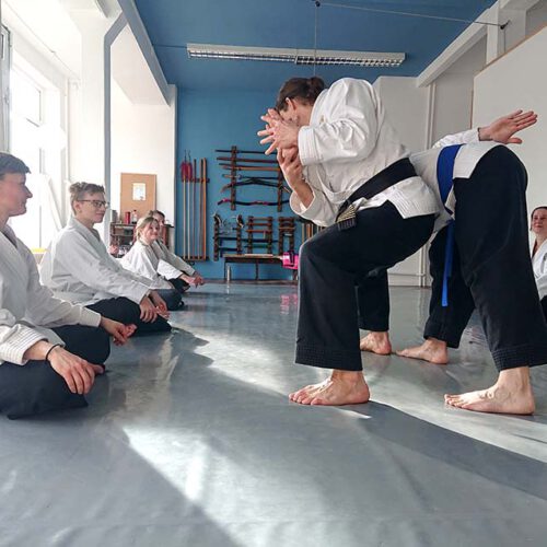 sky banzai martial arts kampfkunst akrobatik yoga barmbek süd flick flack take downs calisthenics asana sintony teamwork personal training pa-kua hamburg