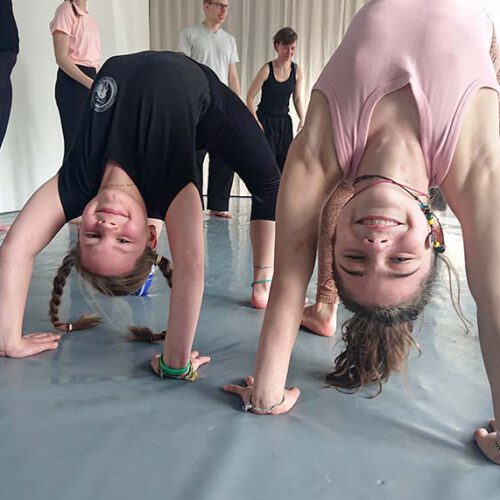 sky banzai martial arts kampfkunst akrobatik yoga barmbek süd flick flack take downs calisthenics asana sintony teamwork personal training pa-kua hamburg